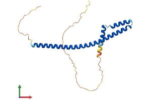 AlphaFold protein structure predicition of Mouse Recombinant Tle5 Protein, UniprotID P63002