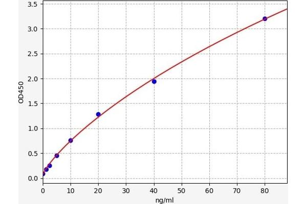 Proteoglycan 4 ELISA 试剂盒