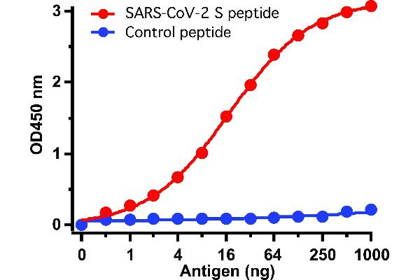 SARS-CoV-2 Spike 抗体  (C-Term)