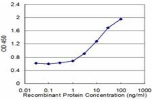 Detection limit for recombinant GST tagged ASAH1 is approximately 1ng/ml as a capture antibody. (ASAH1 抗体  (AA 25-124))