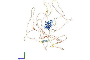 Protein Structure (PS) image for E74-Like Factor 1 (Ets Domain Transcription Factor) (ELF1) (AA 1-619) protein (His tag) (ABIN7547345)