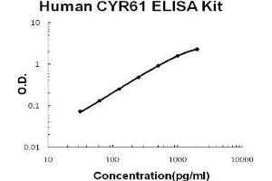 Human CYR61/CCN1 PicoKine ELISA Kit standard curve (CYR61 ELISA 试剂盒)