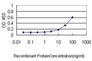 Detection limit for recombinant GST tagged MAPK12 is approximately 1ng/ml as a capture antibody. (MAPK12 抗体  (AA 1-367))
