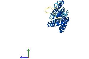 Protein Structure (PS) image for CD82 (CD82) (AA 1-266) protein (His tag) (ABIN7563212)