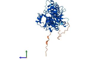 AlphaFold protein structure predicition of Human Recombinant KDM8 Protein, UniprotID Q8N371