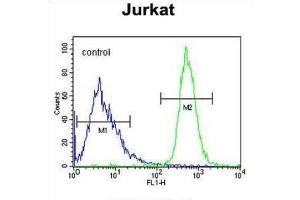Flow Cytometry (FACS) image for anti-Free Fatty Acid Receptor 3 (FFAR3) antibody (ABIN3002269) (FFAR3 抗体)