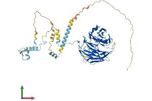 Protein Structure (PS) image for WD Repeat Domain 50 (UTP18) (AA 1-556) protein (His tag) (ABIN7545038)