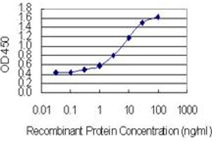 Detection limit for recombinant GST tagged EBF4 is 0. (EBF4 抗体  (AA 1-88))