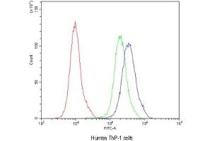 Flow cytometry testing of human ThP-1 cells with CD163 antibody at 1ug/10^6 cells (blocked with goat sera) (CD163 抗体)