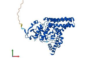 Protein Structure (PS) image for Fatty Acid Desaturase 2 (FADS2) (AA 1-444) protein (His tag) (ABIN7556350)