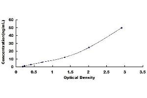 Typical standard curve (ASAH2 ELISA 试剂盒)