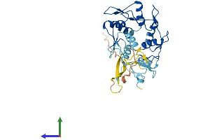 Protein Structure (PS) image for Zinc Finger Protein 771 (ZNF771) (AA 1-317) protein (His tag) (ABIN7545761)