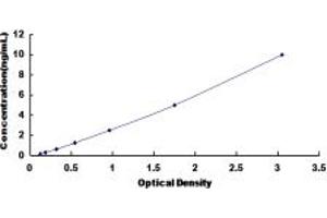 Typical standard curve (GABRA2 ELISA 试剂盒)