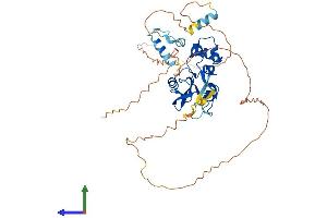 AlphaFold protein structure predicition of Human Recombinant SOCS4 Protein, UniprotID Q8WXH5 (SOCS4 Protein (AA 1-440) (His tag))