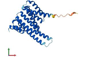 Protein Structure (PS) image for Stratifin (SFN) (AA 1-248) protein (His tag) (ABIN7562550)