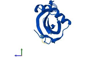 Protein Structure (PS) image for Cystatin B (Stefin B) (CSTB) (AA 1-98) protein (His tag) (ABIN7557793)