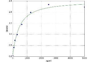 Glyoxalase I (GLO1) ELISA Kit