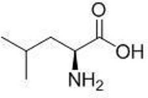 Image no. 1 for Leucine Dehydrogenase (LEU) peptide (Ovalbumin) (ABIN5666264) (Leucine Dehydrogenase (LEU) peptide (Ovalbumin))