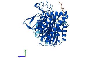 Protein Structure (PS) image for Secernin 2 (SCRN2) (AA 1-425) protein (His tag) (ABIN7545862)