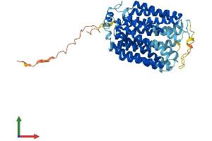 Protein Structure (PS) image for Solute Carrier Family 17 (Acidic Sugar Transporter), Member 5 (SLC17A5) (AA 1-495) protein (His tag) (ABIN7564405)