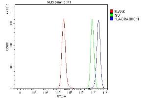Flow Cytometry analysis of Daudi cells using anti-HLA-DRA antibody (ABIN7600950). (HLA-DRA 抗体  (AA 26-254))