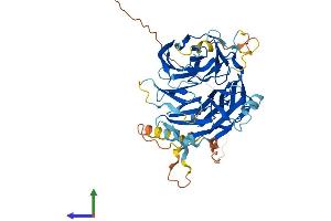 AlphaFold protein structure predicition of Human Recombinant DCAF12L1 Protein, UniprotID Q5VU92