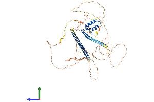 Protein Structure (PS) image for TOX High Mobility Group Box Family Member 3 (TOX3) (AA 1-576) protein (His tag) (ABIN7555839)