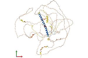 AlphaFold protein structure predicition of Human Recombinant TSC22D2 Protein, UniprotID O75157