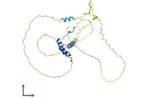 Protein Structure (PS) image for NK2 Homeobox 6 (NKX2-6) (AA 1-301) protein (His tag) (ABIN7549739)
