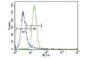 Parkin antibody flow cytometric analysis of NCI-H460 cells (right histogram) compared to a negative control (left histogram). (Parkin 抗体  (AA 387-417))