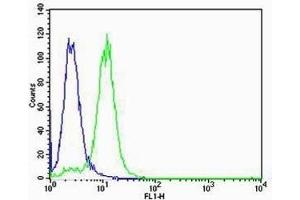 Flow cytometric analysis of K562 cells using vWF antibody (green) compared to an isotype control of mouse IgG1 (blue). (VWF 抗体)
