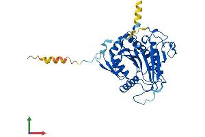 Protein Structure (PS) image for Galactose-1-Phosphate Uridylyltransferase (GALT) (AA 1-379) protein (His tag) (ABIN7547801)