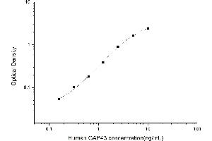 Typical standard curve (GAP43 ELISA 试剂盒)