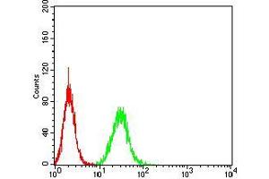 Flow cytometric analysis of A549 cells using PGRMC1 mouse mAb (green) and negative control (red). (PGRMC1 抗体  (AA 1-195))