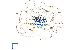 Protein Structure (PS) image for Ataxin 1 (ATXN1) (AA 1-815) protein (His tag) (ABIN7552542)