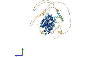 Protein Structure (PS) image for PAX3 and PAX7 Binding Protein 1 (PAXBP1) (AA 1-917) protein (His tag) (ABIN7554913)