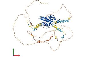 Protein Structure (PS) image for Cell Division Cycle 25 Homolog B (S. Pombe) (CDC25B) (AA 1-580) protein (His tag) (ABIN7549456)