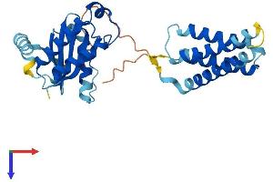 SEC22C Protein (AA 1-303) (His tag)