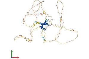 Protein Structure (PS) image for Iroquois Homeobox Protein 5 (IRX5) (AA 1-484) protein (His tag) (ABIN7561644)