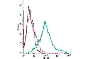 Cell surface detection of Nectin-1 by direct flow cytometry in live intact human  megakaryocytic leukemia cells: + Rabbit IgG isotype control-FITC.