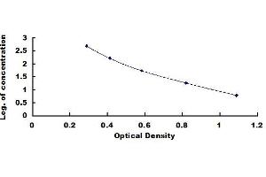 Typical standard curve