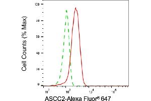 Flow cytometric analysis of ASCC2 expression in HepG2 cells using ASCC2 antibody (ABIN7797477), 1:2,000). (ASCC2 抗体)