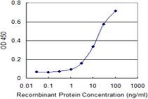 Detection limit for recombinant GST tagged ZNF81 is 0. (ZNF81 抗体  (AA 1-122))