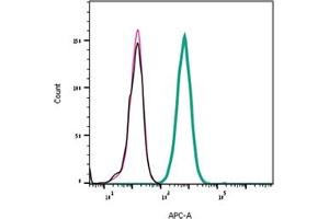 Direct flow cytometry of α-Bungarotoxin in live intact rat  cells. (alpha-Bungarotoxin protein (Atto 647N))