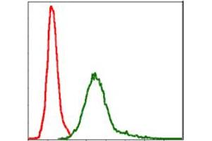 Image no. 7 for anti-Baculoviral IAP Repeat-Containing 5 (BIRC5) antibody (ABIN1501243) (Survivin 抗体)