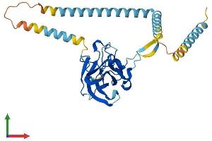Protein Structure (PS) image for Sad1 and UNC84 Domain Containing 3 (SUN3) (AA 1-320) protein (His tag) (ABIN7557528)