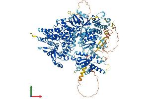 AlphaFold protein structure predicition of Mouse Recombinant Phka2 Protein, UniprotID Q8BWJ3
