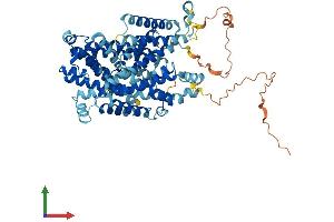 AlphaFold protein structure predicition of Human Recombinant SLC7A4 Protein, UniprotID O43246 (SLC7A4 Protein (AA 1-635) (His tag))