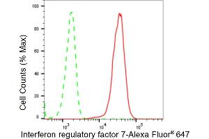 Flow cytometric analysis of Interferon regulatory factor 7 expression in C2C12 cells using Interferon regulatory factor 7 antibody (ABIN7799088), 1:2,000). (Recombinant IRF7 抗体)