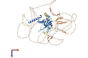 AHRR Protein (AA 1-701) (His tag)